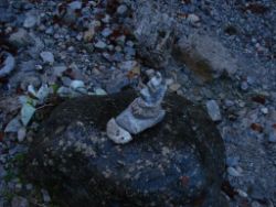 2013-10-26_Schildenstein (082).JPG